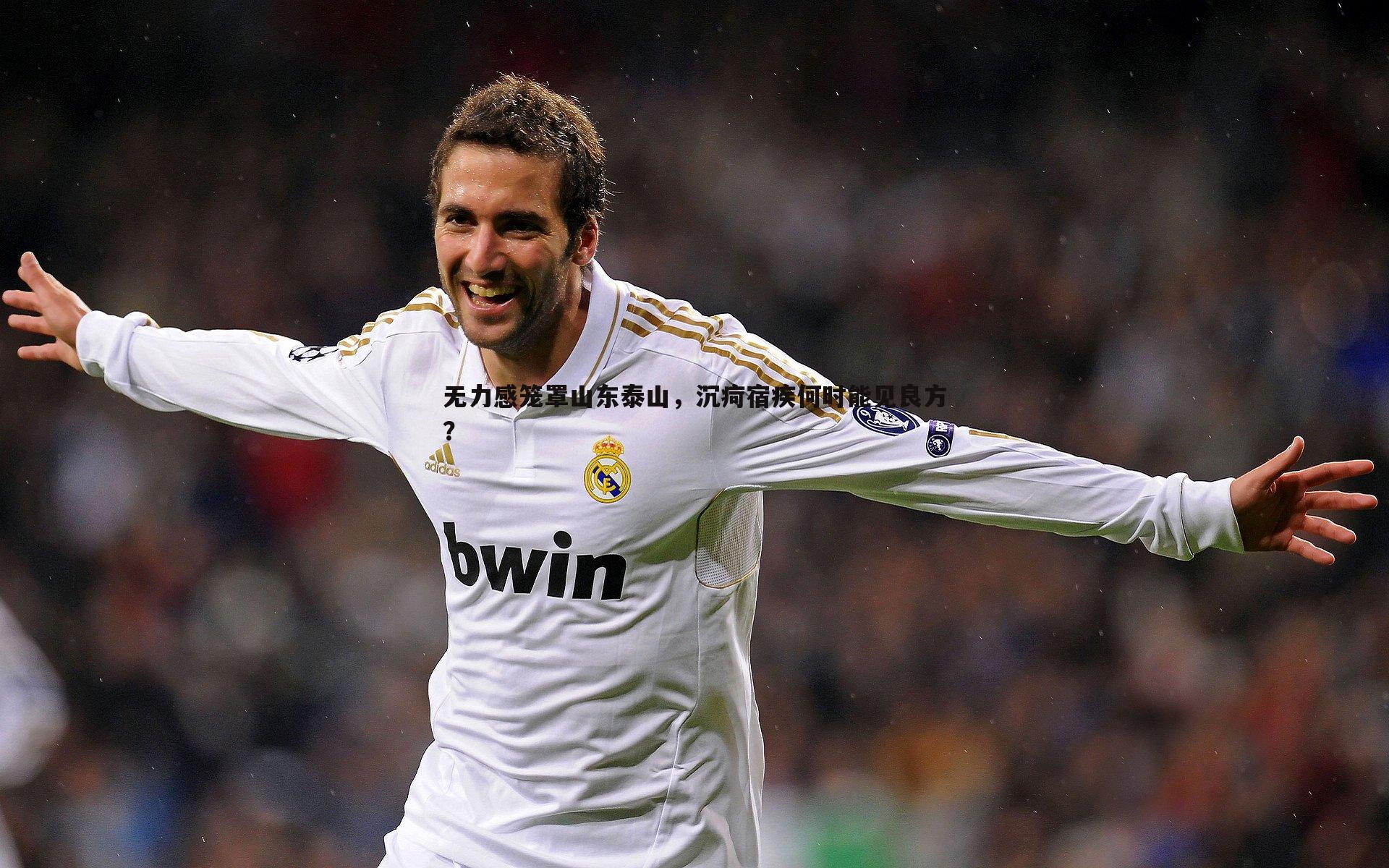 无力感笼罩山东泰山，沉疴宿疾何时能见良方？